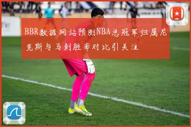 BBR数据网站预测NBA总冠军归属尼克斯与马刺胜率对比引关注