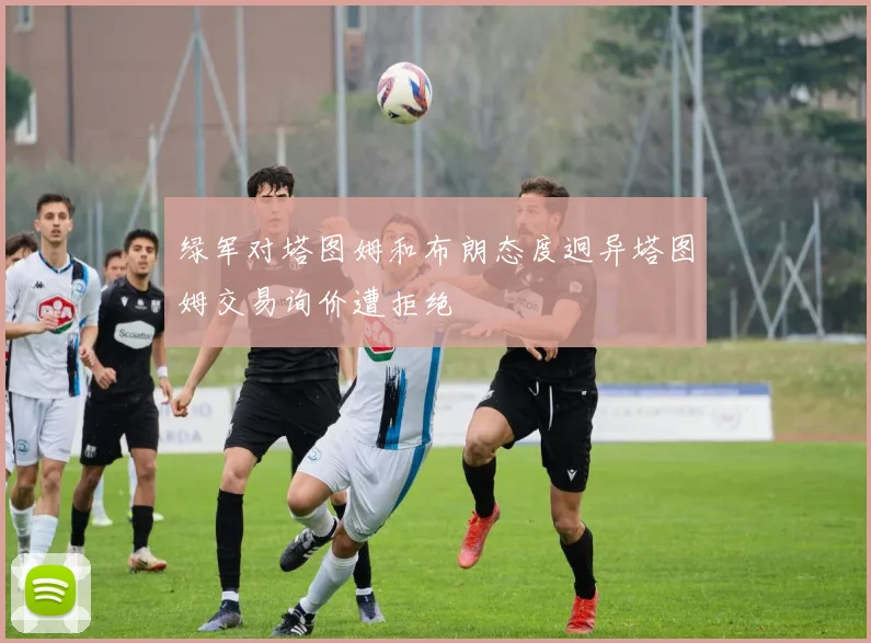 绿军对塔图姆和布朗态度迥异塔图姆交易询价遭拒绝